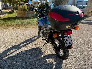 Xt 600
