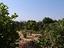 Immagine 26