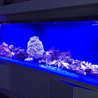 Acquario 3 metri in plexiglas ultra strasparente