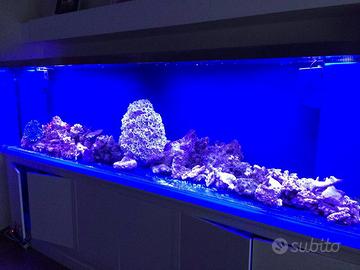 Acquario 3 metri in plexiglas ultra strasparente