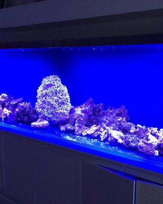 Acquario 3 metri in plexiglas ultra strasparente