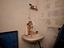 Immagine 17