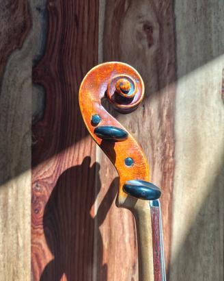 violino 4/4 italiano 