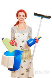 Pulizie domestiche