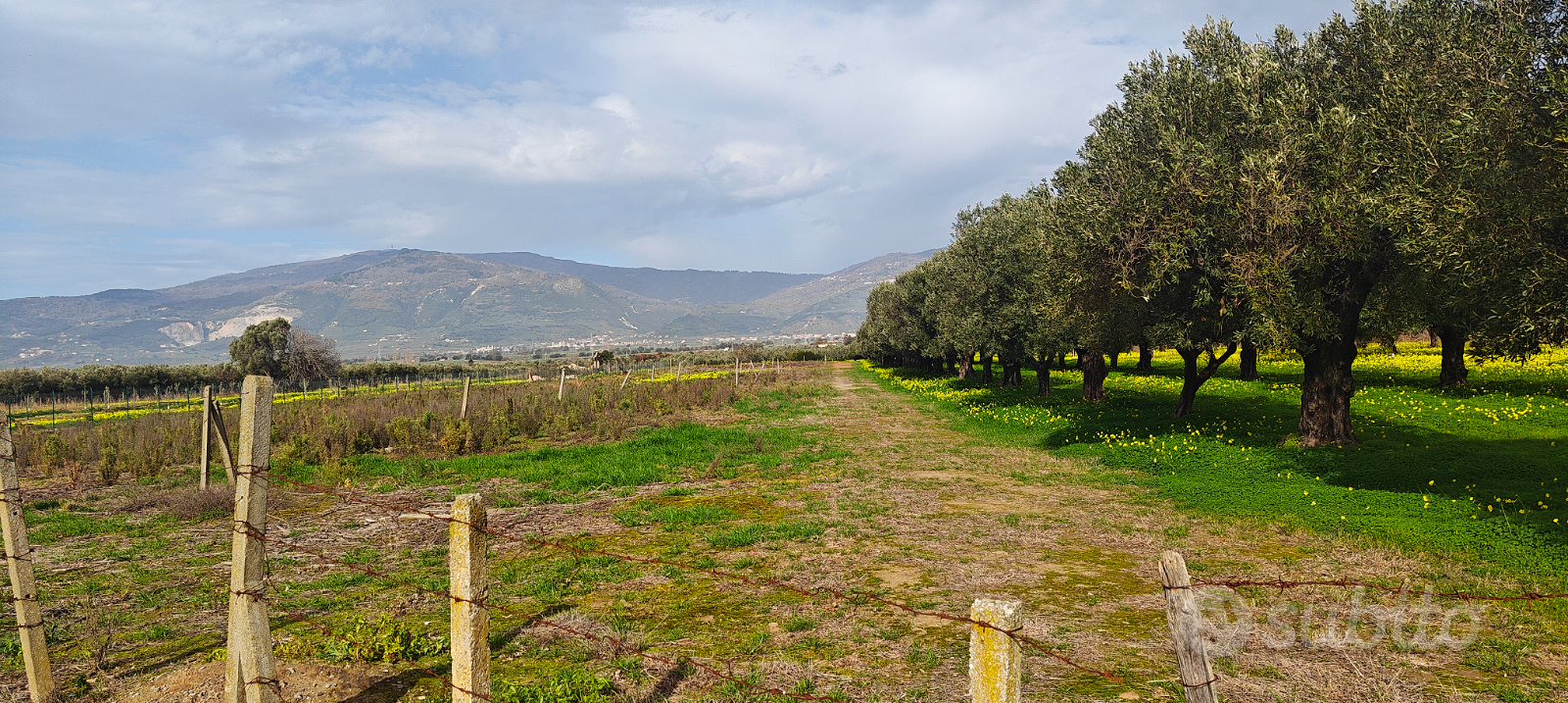 Terreno agricolo 8.760m² mt30x300 Lamezia zona A2 - Vista 4