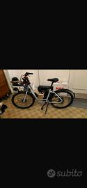 Bici elettrica