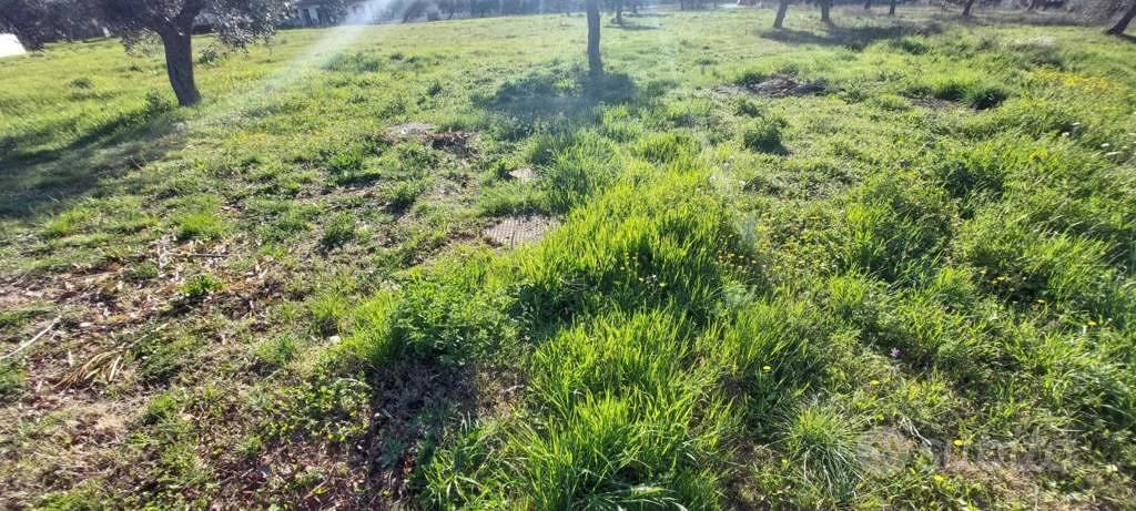 Immobile in asta di 6583 m² a Nereto - Altro