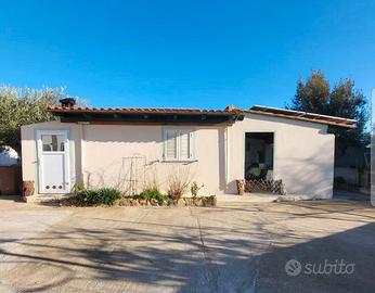 CALA liberotto / 0ROSEI ESTATE