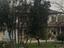 Immagine 6
