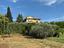 Immagine 17