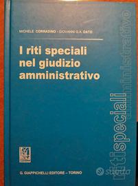 I riti speciali nel giudizio amministrativo