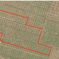 Fondo Rustico in Contrada Piana Ribera