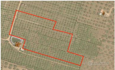 Fondo Rustico in Contrada Piana Ribera