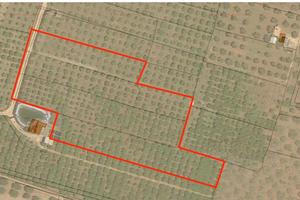 Fondo Rustico in Contrada Piana Ribera