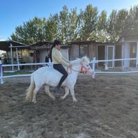 Stupenda Pony