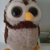 Civetta Harry Potter