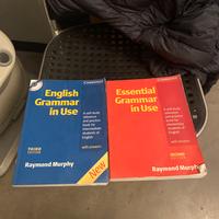 English grammar in use