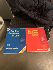 English grammar in use