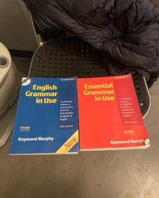 English grammar in use