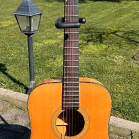 Ibanez Lonestar LS 540 am