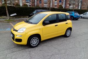 Fiat Panda Icon leggere attentamente