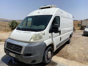 Ducato