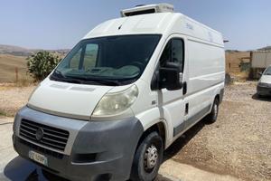 Ducato