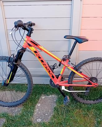 bici mountain bike ragazzo