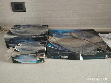 vintage 13 pezzi piatti pesce Arcoroc Poisson