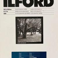 Carta IlFord  Multigrade Formato 13x18 / 250 Fogli