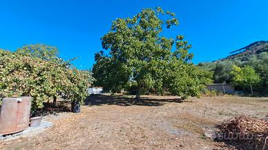 Rif.31 Terreno Agricolo con manufatto Ariccia