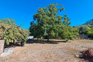 Rif.31 Terreno Agricolo con manufatto Ariccia