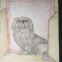 Disegno a matita - 1930