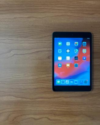 IPad Mini 2 Grigio Siderale 16gb