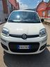 fiat-panda-metano-7900
