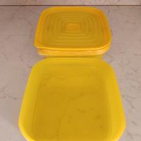 Contenitore Tupperware con coperchio 