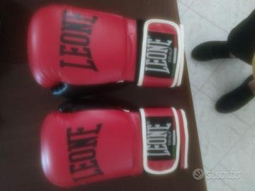 guantoni boxe