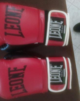 guantoni boxe