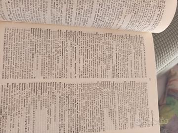 Dizionario cineseitaliano