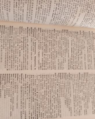 Dizionario cineseitaliano