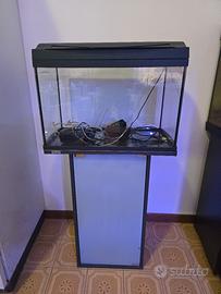 Acquario Tetra 60 litri