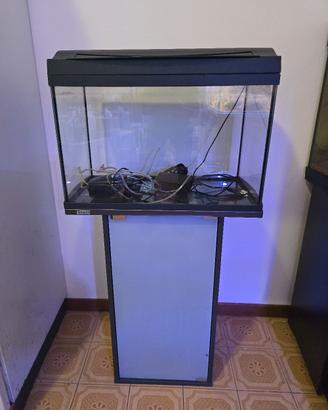 Acquario Tetra 60 litri