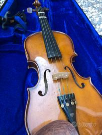 violino