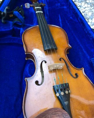 violino