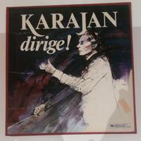 Karajan dirige! 9 LP in vinile