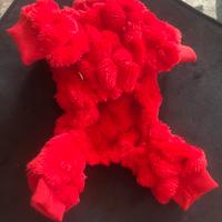 Tutine per cane piccola tg