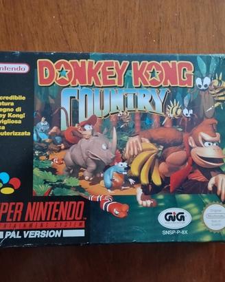 Donkey Kong country snes