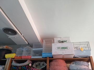 gabbie uccelli e conigli nuove