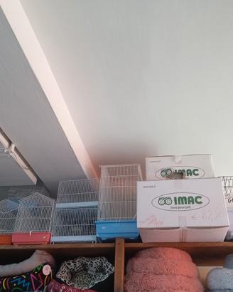 gabbie uccelli e conigli nuove