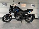 cfmoto-300cl-x-cl-x-300-heritage